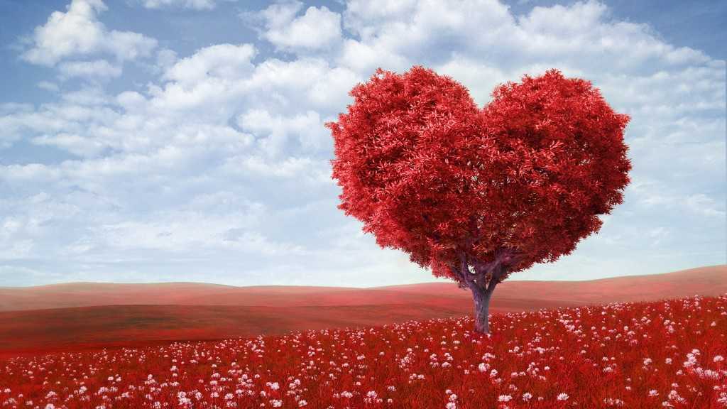 valentine-amp-39-s-day-love-romance-heart-tree-field-flowers-sky