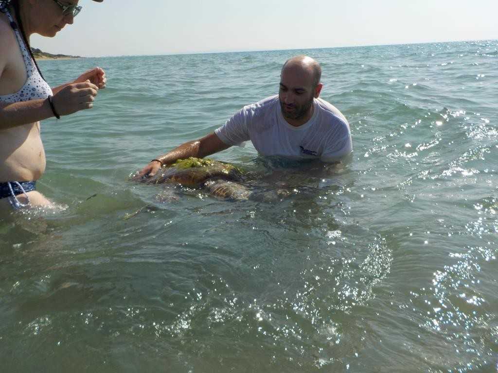 2_ΜΑΜΑΣΗΣ ΔΙΟΝΥΣΗΣ