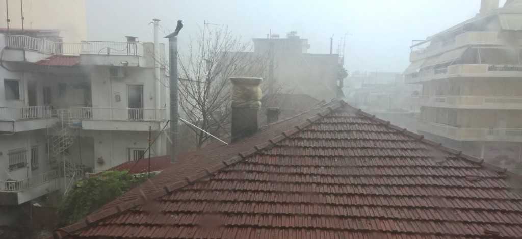 WP_20150801_17_28_55_Raw