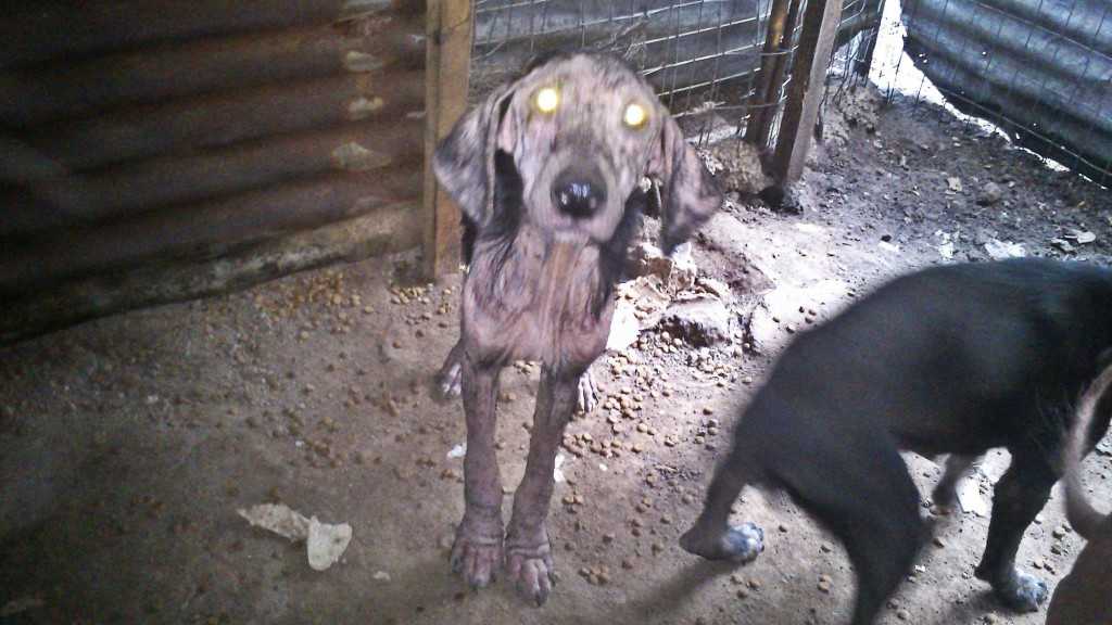 Facebook-20151022-120551