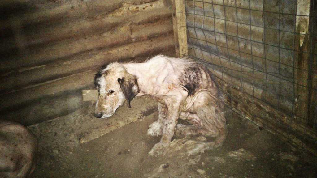 Facebook-20151022-120554