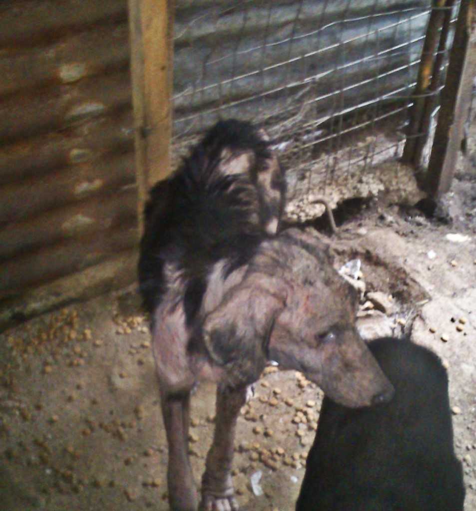 Facebook-20151022-120559