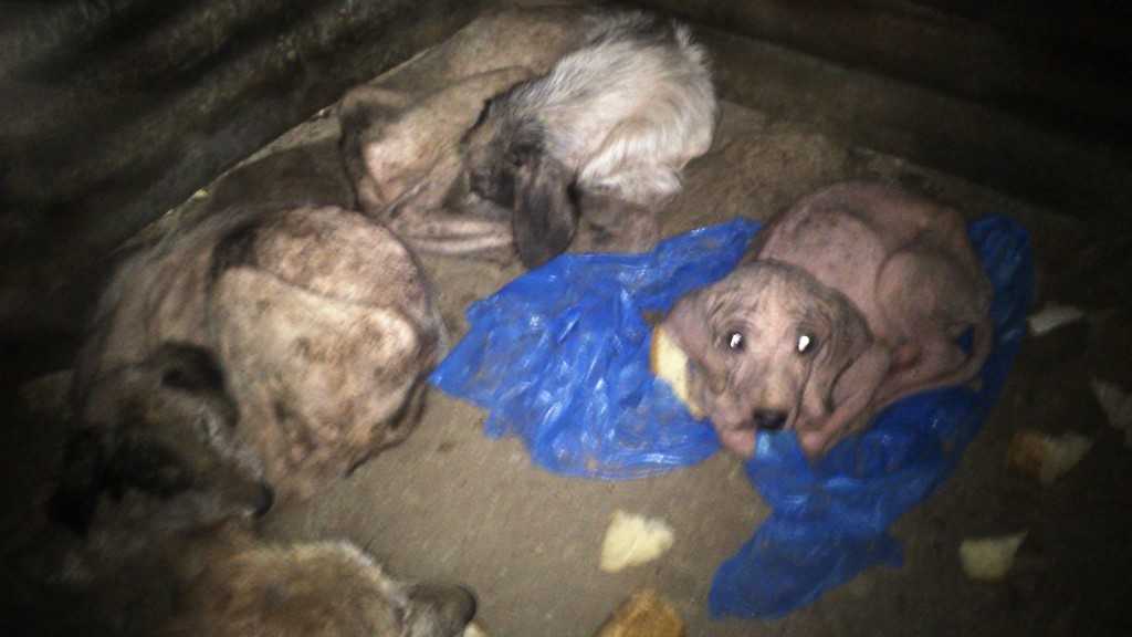 Facebook-20151022-120604