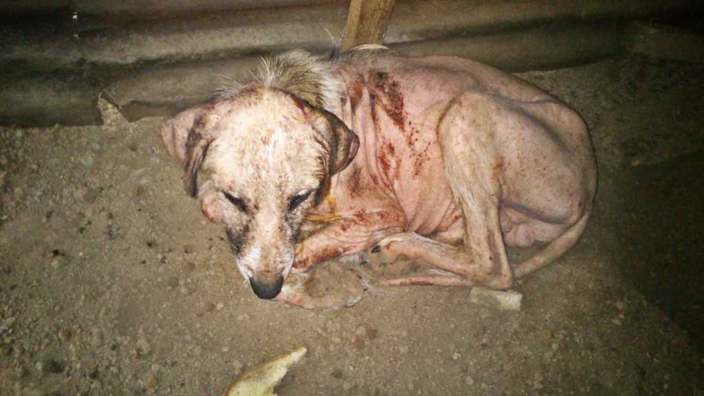 Facebook-20151022-120609