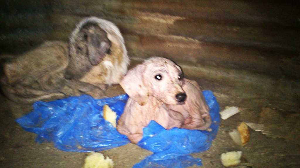 Facebook-20151022-120615