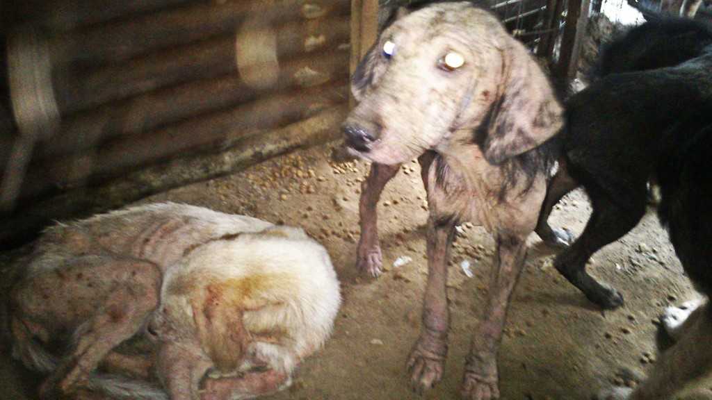 Facebook-20151022-120622