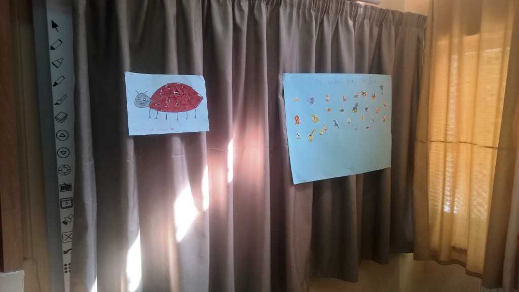 WP_20151005_10_54_24_Pro__highres