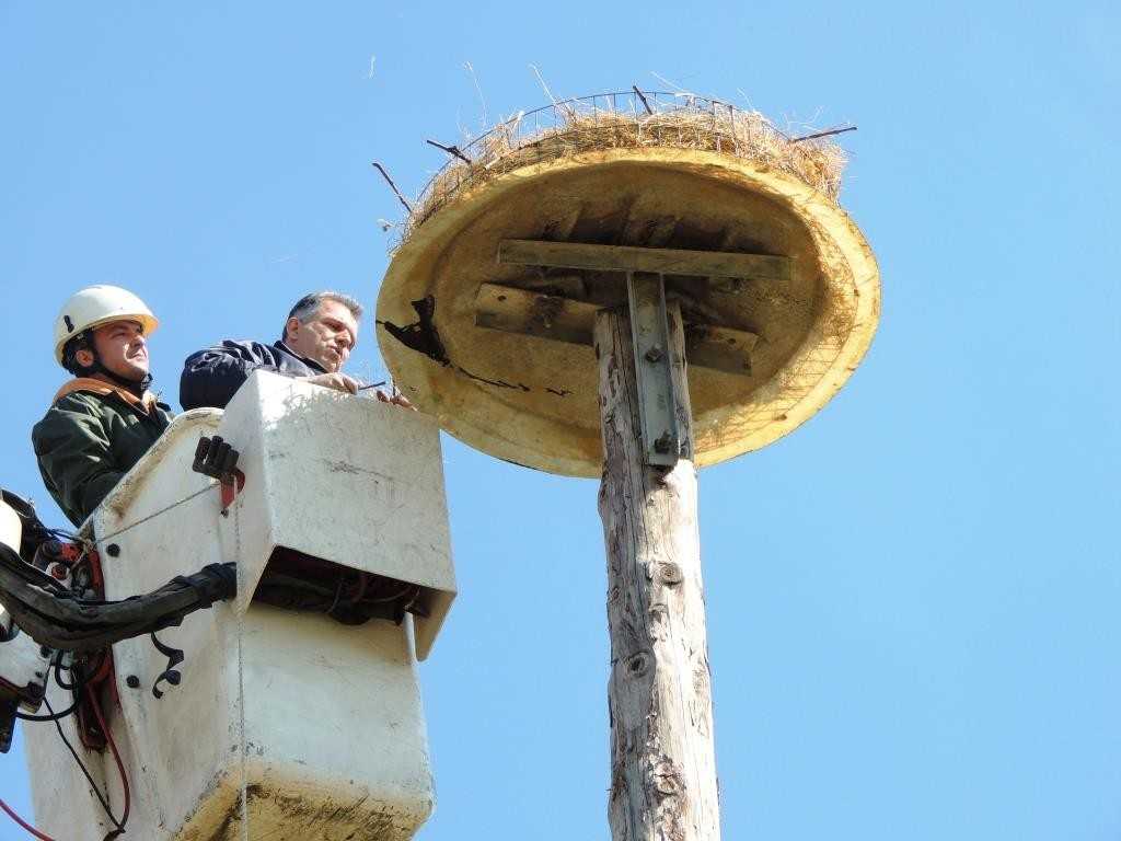 Τοποθέτηση φωλιάς στο στύλο από την ΔΕΔΔΗΕ 4_04_2015