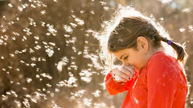 allergies_kids-1