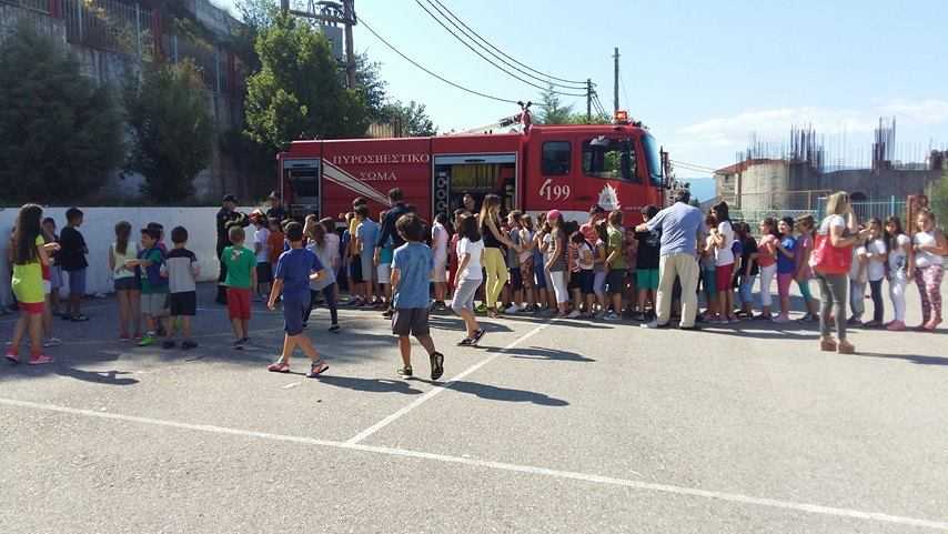 13414534_540477149470885_1768855868_n