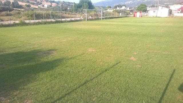 2 plagia GHPEDO (2)