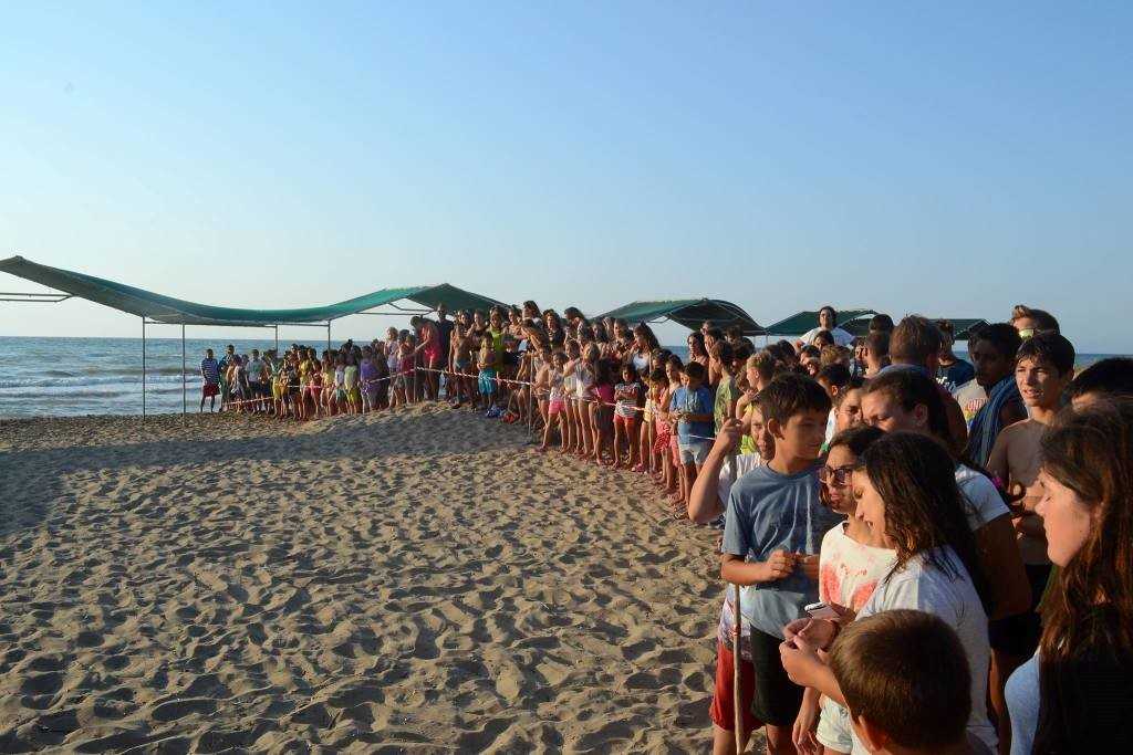 1.Οι πολίτες στείλανε το περιβαλλοντικό τους μήνυμα για την προστασία της θαλάσσιας χελώνας Caretta caretta