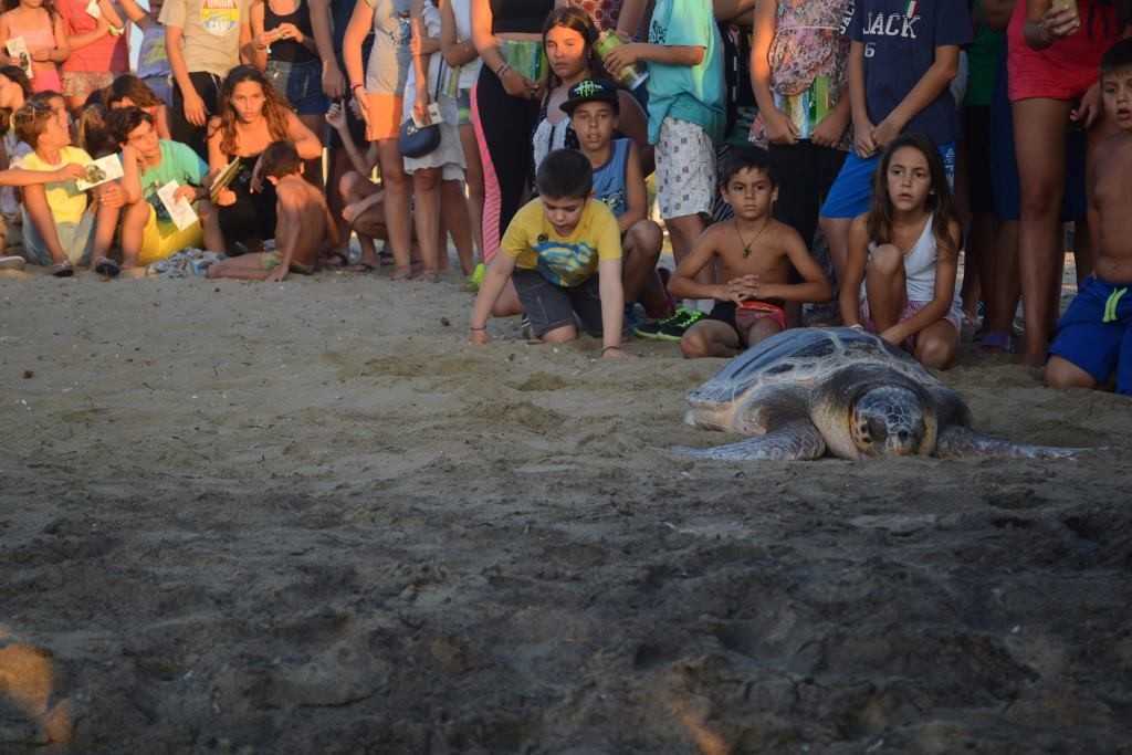 5.Ο Νίκος τραυματισμένος στο κεφάλι (σκόπιμος τραυματισμός) βρέθηκε στη Χίο στις 30 Μαρτίου 2013