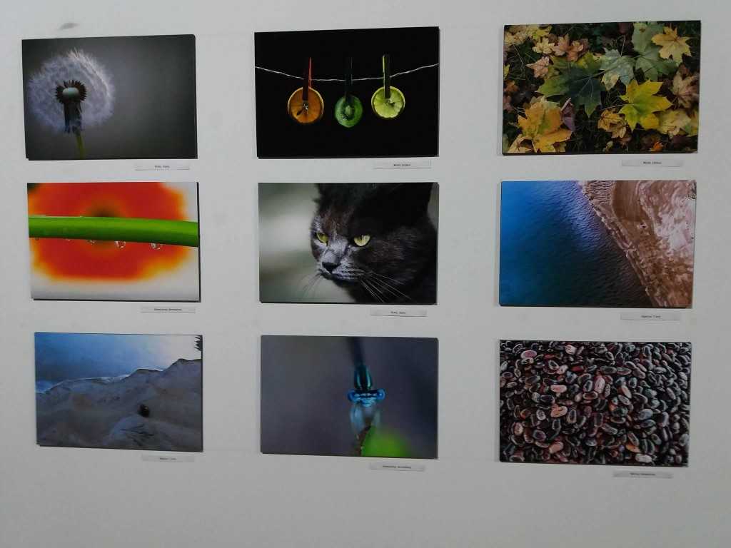 14360454_1099966656751582_251568981_o