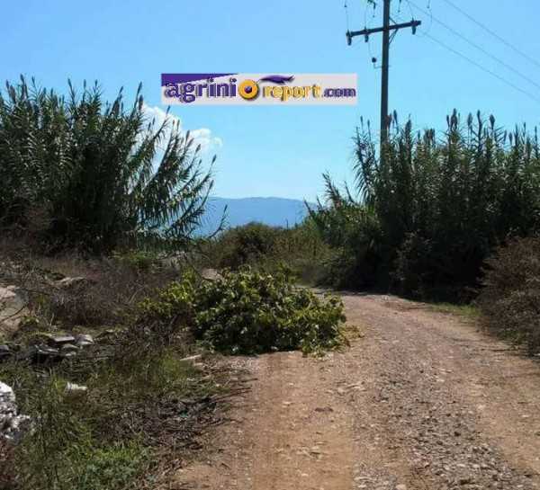 14454566_10154400914090985_429877150_n