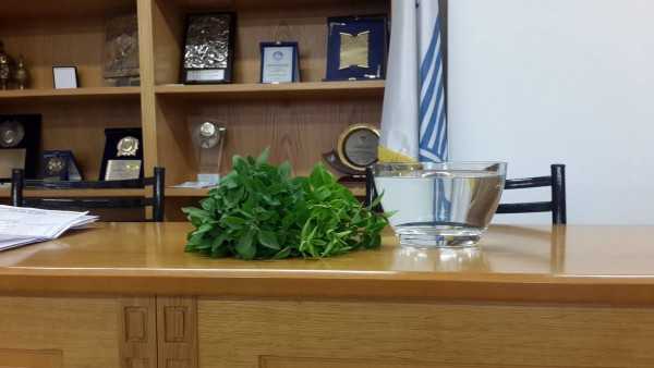 14456883_10204977249191481_2014732106_o