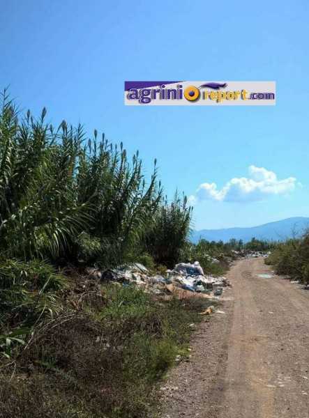 14466991_10154400914140985_1308673256_o