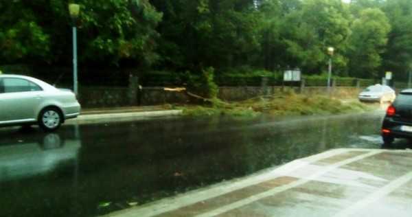 image-0-02-05-6cf43e07e3d0ee8de27e63c50056f6a835d6e2cfcfbd9d3e6b034555d2d8b954-v