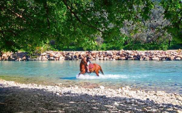 img_7210-thumb-large