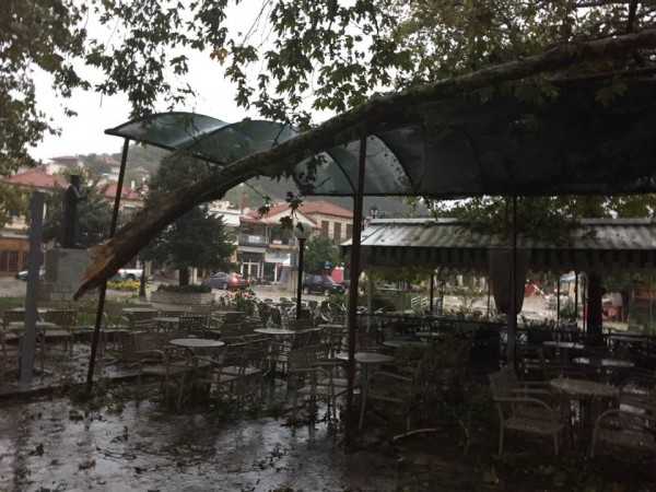 %cf%80%cf%84%cf%8e%cf%83%ce%b7-%ce%ba%ce%bb%cf%89%ce%bd%ce%b1%cf%81%ce%b9%cf%8e%ce%bd-%cf%83%cf%84%ce%b7%ce%bd-%cf%80%ce%bb%ce%b1%cf%84%ce%b5%ce%af%ce%b1-%cf%84%ce%bf%cf%85-%ce%b8%ce%ad%cf%81%ce%bc