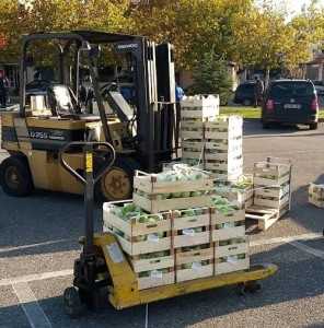 13840476_10210875507831810_40630785_o