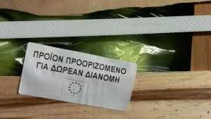 15134181_10210875507231795_564652132_o