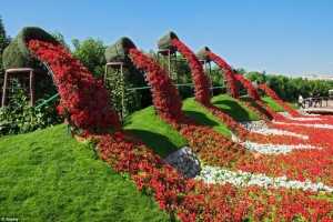 29c5113900000578-0-image-a-7_1434706938401-696x464