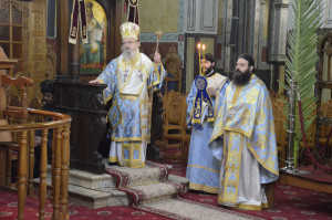 1mesologgi_theofaneia