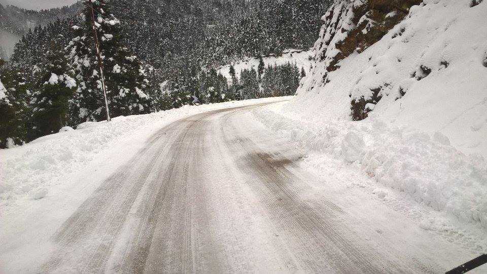 16111636_1840957769507747_106187415_n