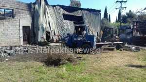 received_1552600788107473_wm