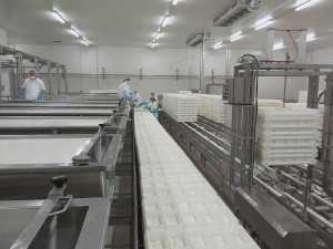 17690674_1761345627225382_915927238_n