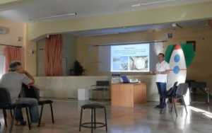 νεάπολη-10-400x250