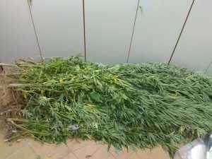 11-7-2017 ΤΔΝ ΑΓΡΙΝΙΟΥ 2