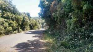 image-0-02-05-1bddfa9ad4a89756aecbb324ecaaae234033652408dba26bfd1d8de18844f5a4-V4