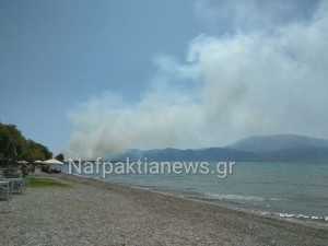 received_10213629386273464_wm