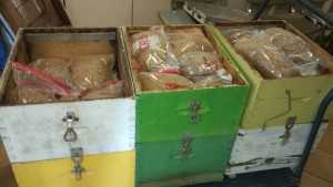 ΥΑ ΑΓΡΙΝΙΟΥ