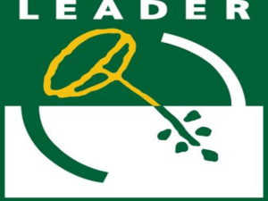 Leader-logo