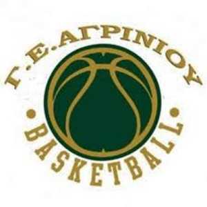 gea basket