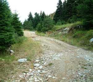ΦΩΤΟ - Χωματόδρομος σύνδεσης Τοπικών Κοινοτήτων ορεινού Θέρμου.3