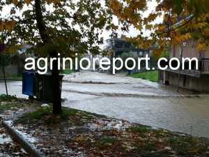 AGRIN